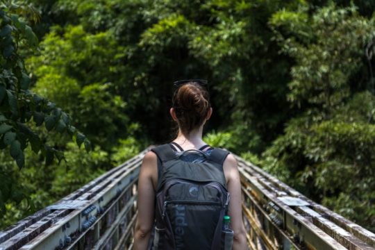 Girl Hiking Trail Bridge